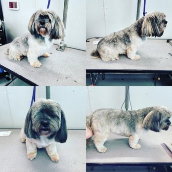K9 Spa Dog Grooming - Pet Groomers Near Me - Carrollton, Texas K9 Spa Dog Grooming - Pet Groomers Near Me - Carrollton, Texas