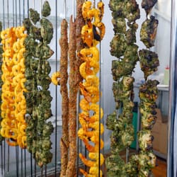 Taste of Auckland
