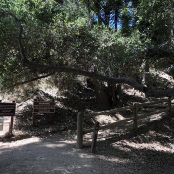 Temescal Gateway Park - This is the beginning of the clockwise loop, oceanside first, waterfall later. - Parks Near Me - Pacific Palisades, California Temescal Gateway Park - This is the beginning of the clockwise loop, oceanside first, waterfall later. - Parks Near Me - Pacific Palisades, California