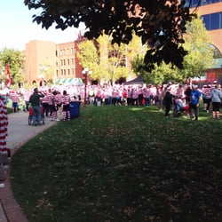 The Waldo Waldo 5k