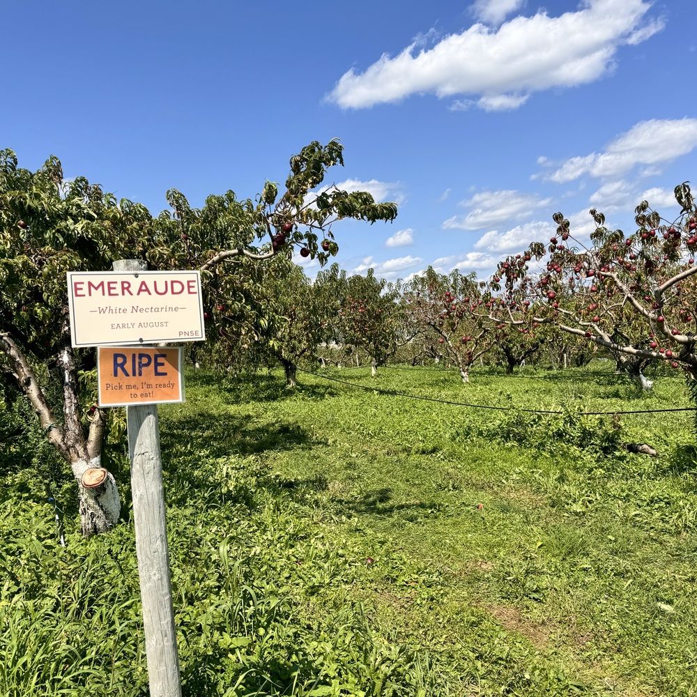 Fishkill Farms - Farmers Market Near Me - Hopewell Junction, New York