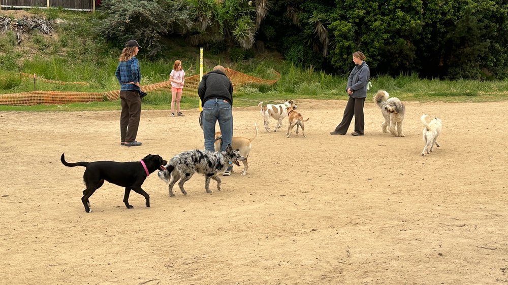 POWER LINES DOG PARK Updated September 2024 39 Photos & 12 Reviews