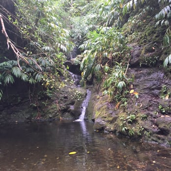 Waiakeakua Waterfall - The bottom of Waiakeakua Falls - Hiking Near Me - Honolulu, Hawaii Waiakeakua Waterfall - The bottom of Waiakeakua Falls - Hiking Near Me - Honolulu, Hawaii