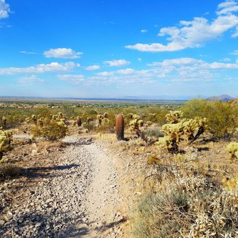 Ringtail Trailhead - Hiking Near Me - Scottsdale, Arizona