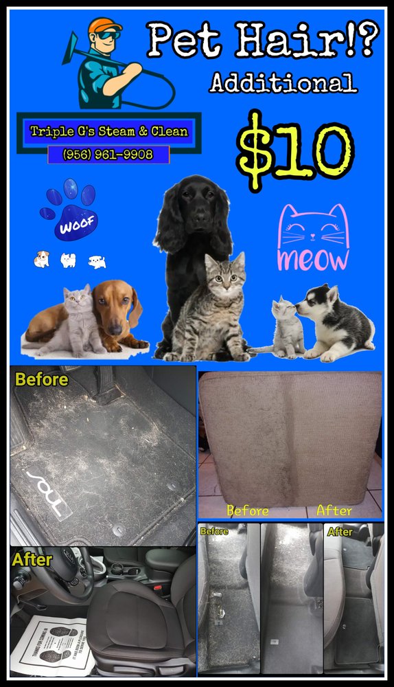TRIPLE G’S STEAM & CLEAN Updated August 2024 19 Photos Pharr