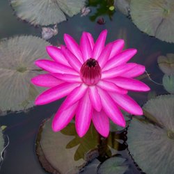 Intuitive Massage And Yoga