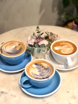 Remi Flower & Coffee by null