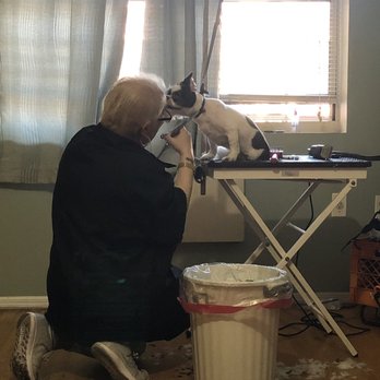Groomit - Pet Groomers Near Me
