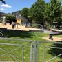 Photo of Spielplatz Rathen - detské ihrisko