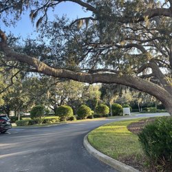 BayCare Outpatient Imaging - Trinity - Pretty front drive