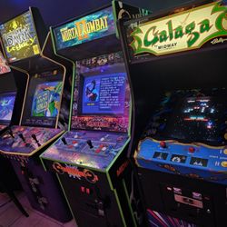 Chubby Squirrel Brewing Company - Arcade