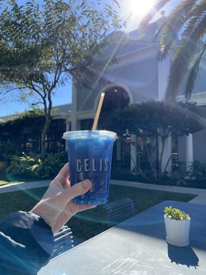 Celis Juice Bar - Palm Beach by null