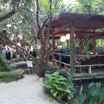 Redland Koi & Pond - Aquariums Near Me - Homestead, Florida Redland Koi & Pond - Aquariums Near Me - Homestead, Florida