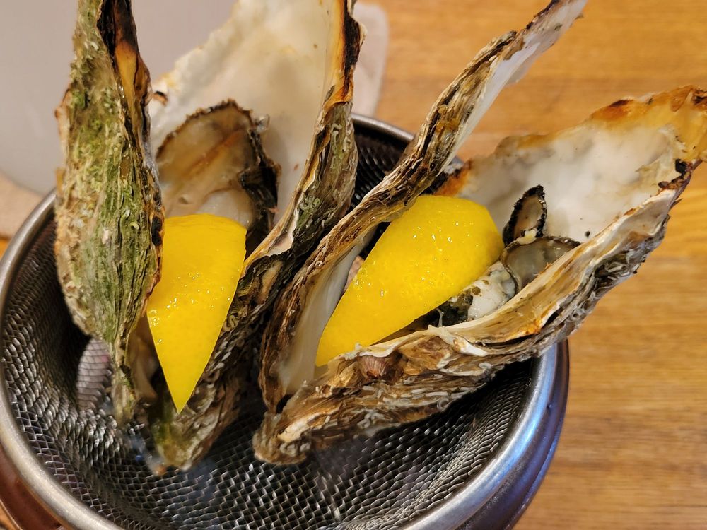 Ekohiiki