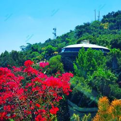 Chemosphere - Malin House - 5-10-20: Was awesome to sneak my car up here to get this shot of a famous house. Happy Mothers Day...