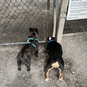 Magnuson Park Off-Leash Area - Dogs - Dog Parks Near Me - Seattle, Washington