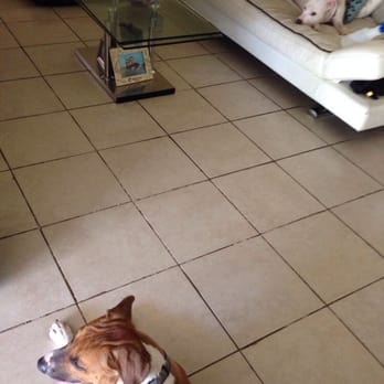 Snoopy Dog Camp - Dog Walkers Near Me - Hollywood, Florida Snoopy Dog Camp - Dog Walkers Near Me - Hollywood, Florida