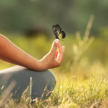 Embracing Functional Wellness - Our Philosophy - Health Coach Near Me Embracing Functional Wellness - Our Philosophy - Health Coach Near Me