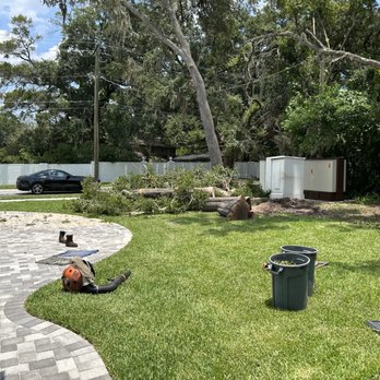 Dave's Professional Tree Services - Tree Services Near Me Dave's Professional Tree Services - Tree Services Near Me