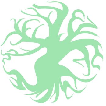 White's ArborCare - Tree Services Near Me White's ArborCare - Tree Services Near Me