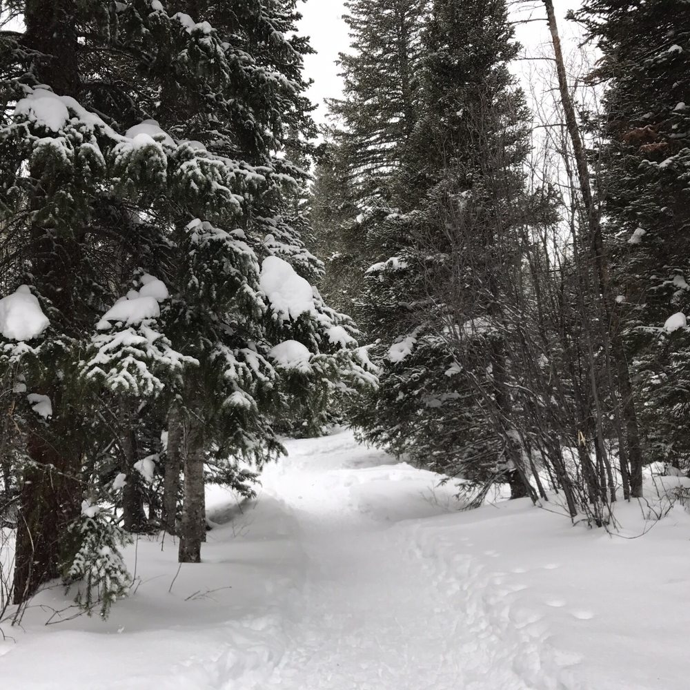 Hessie Trailhead - Hiking Near Me - Nederland, Colorado Hessie Trailhead - Hiking Near Me - Nederland, Colorado