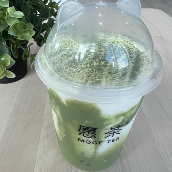 Moge Tee - Tampa - Mochi Matcha - Coffee & Tea Near Me - Tampa, Florida Moge Tee - Tampa - Mochi Matcha - Coffee & Tea Near Me - Tampa, Florida