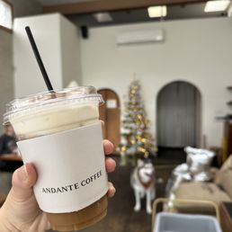 Andante Cold Brew Andante Cold Brew