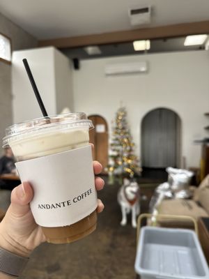 Andante by null
