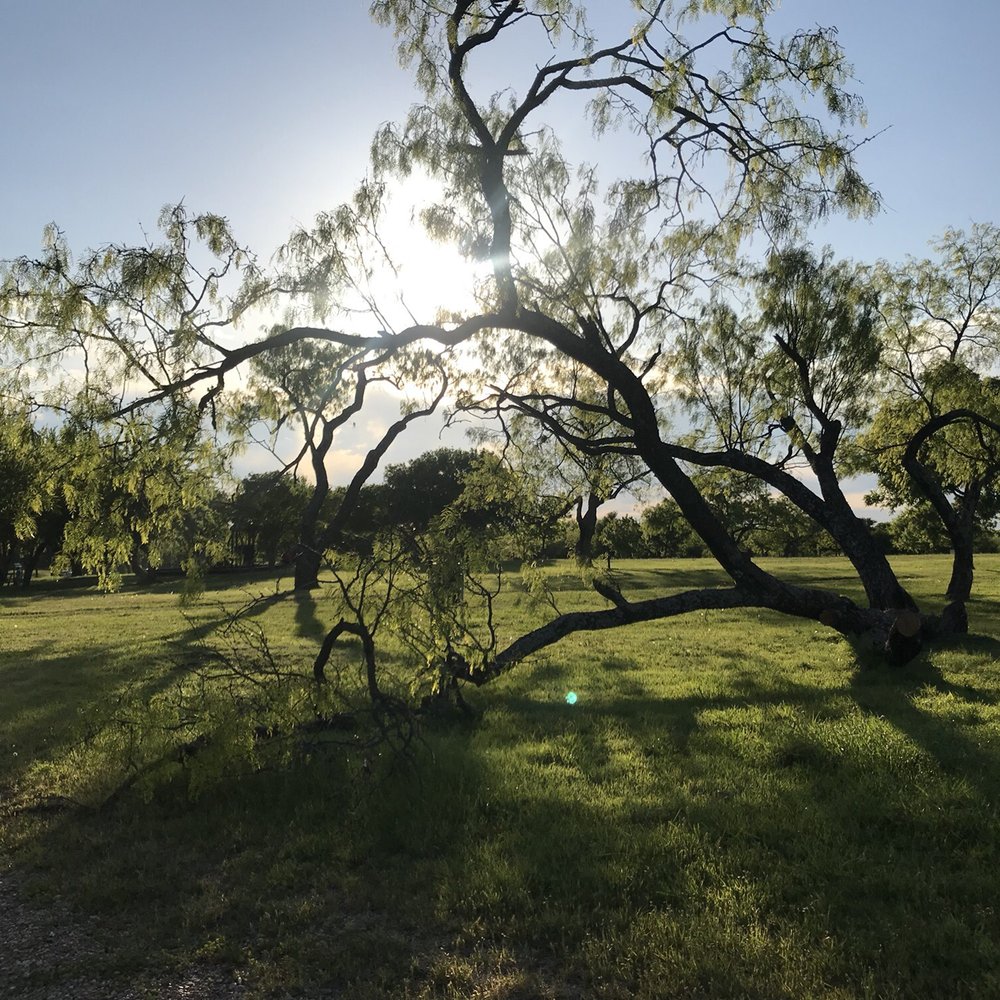 Samuell Farm - Parks Near Me - Mesquite, Texas Samuell Farm - Parks Near Me - Mesquite, Texas