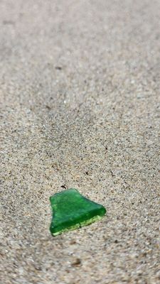 Butterfly Beach by null
