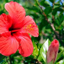 Kristina Nikols Wellness - Working with Kristina felt like life blooming again!