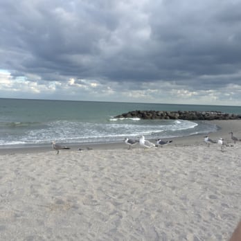 Von D. Mizell and Eula Johnson State Park - Don't picnic on beach the seagulls are very aggressive and dove right into my food. I got a cut on my hand from where the bird got me. - Parks Near Me - Dania, Florida