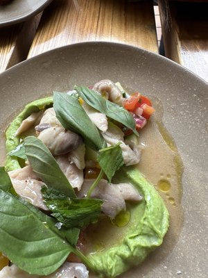 Cloudy Bay Vineyards by null