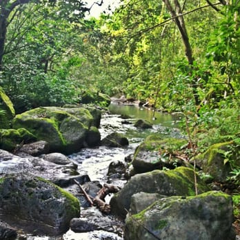 Kalauao Trail - Hiking Near Me - Aiea, Hawaii