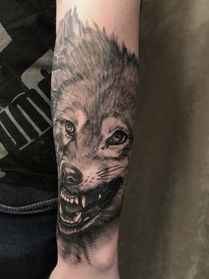 Paradise City Tattoo by null