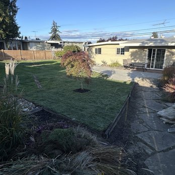 Ausencio Landscaping - Landscaping Near Me
