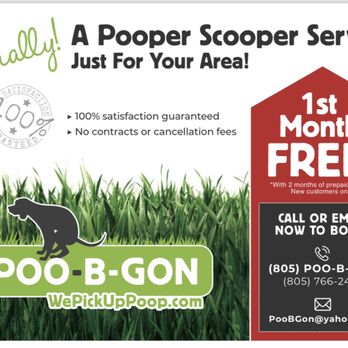 Poo-B-Gon - Pet Waste Removal Near Me Poo-B-Gon - Pet Waste Removal Near Me