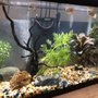 Photo of Aquarium Zen