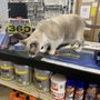 Photo of Eastern Valley Auto Parts