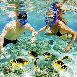 Snorkel & Snuka Adventure Tours
