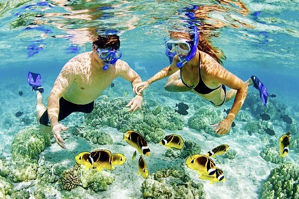 Snorkel & Snuka Adventure Tours