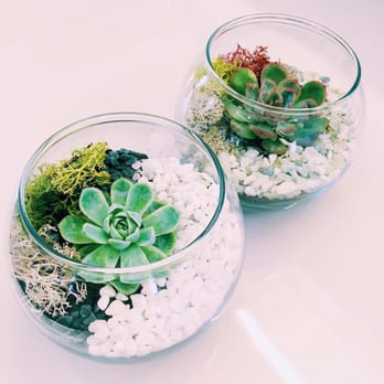 Flourish Workshops - My very own terrariums! - Art Classes Near Me Flourish Workshops - My very own terrariums! - Art Classes Near Me