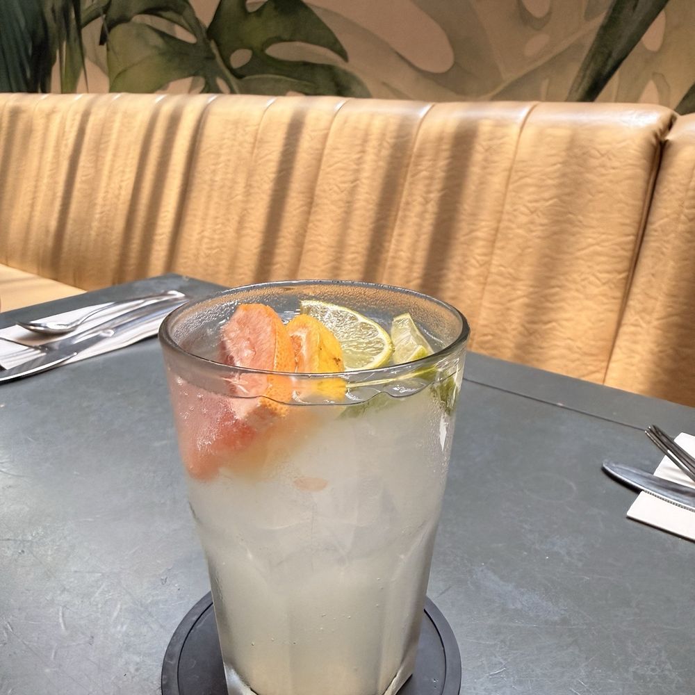 Fredy's Tucan - Lemonade - Bars Near Me - Puerto Vallarta, JAL Fredy's Tucan - Lemonade - Bars Near Me - Puerto Vallarta, JAL