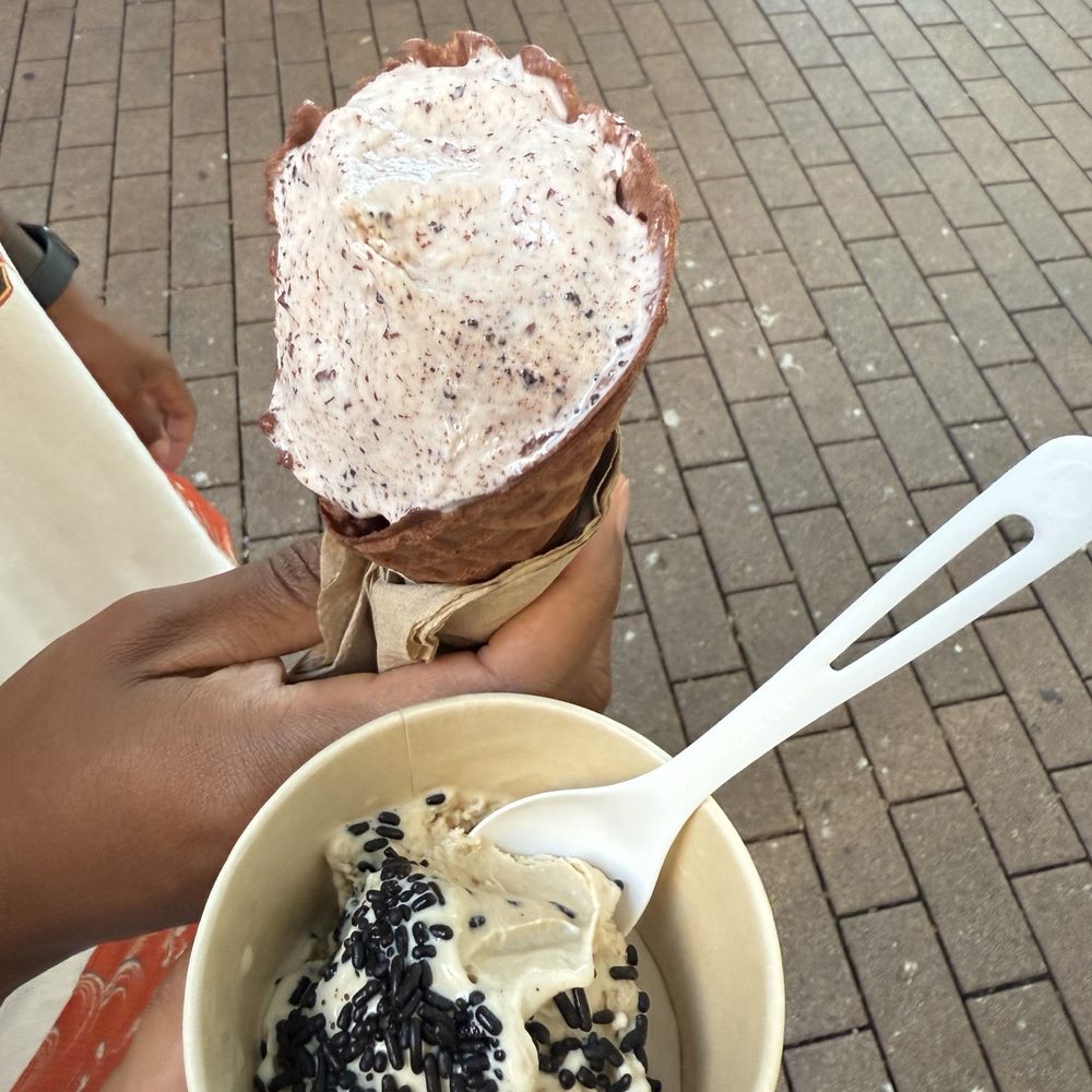 Lick Honest Ice Creams - Cup and cone! - Ice Cream & Frozen Yogurt Near Me - Austin, Texas