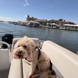 CB Pontoon Rentals & Cruises