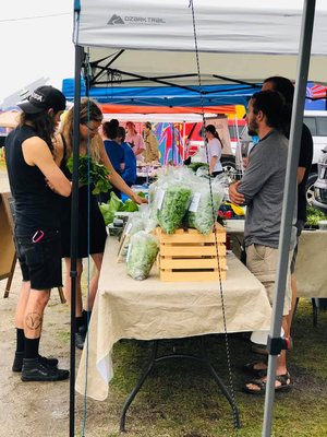Carytown Farmers Market by null
