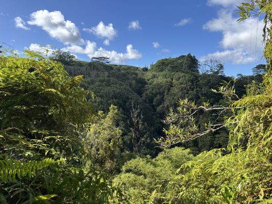 ʻAkaka Falls State Park by null