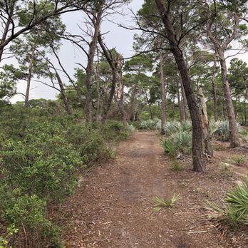 Blazing Star Nature Preserve - Hiking Near Me - Boca Raton, Florida