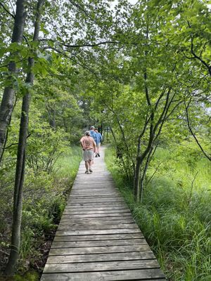 Ludington State Park Beach by null