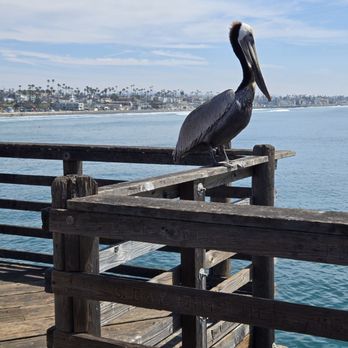 Oceanside Pier - Venues & Event Spaces Near Me - Oceanside, California Oceanside Pier - Venues & Event Spaces Near Me - Oceanside, California